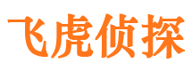 额济纳旗市场调查